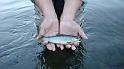 Steve's Brookie on Kettle